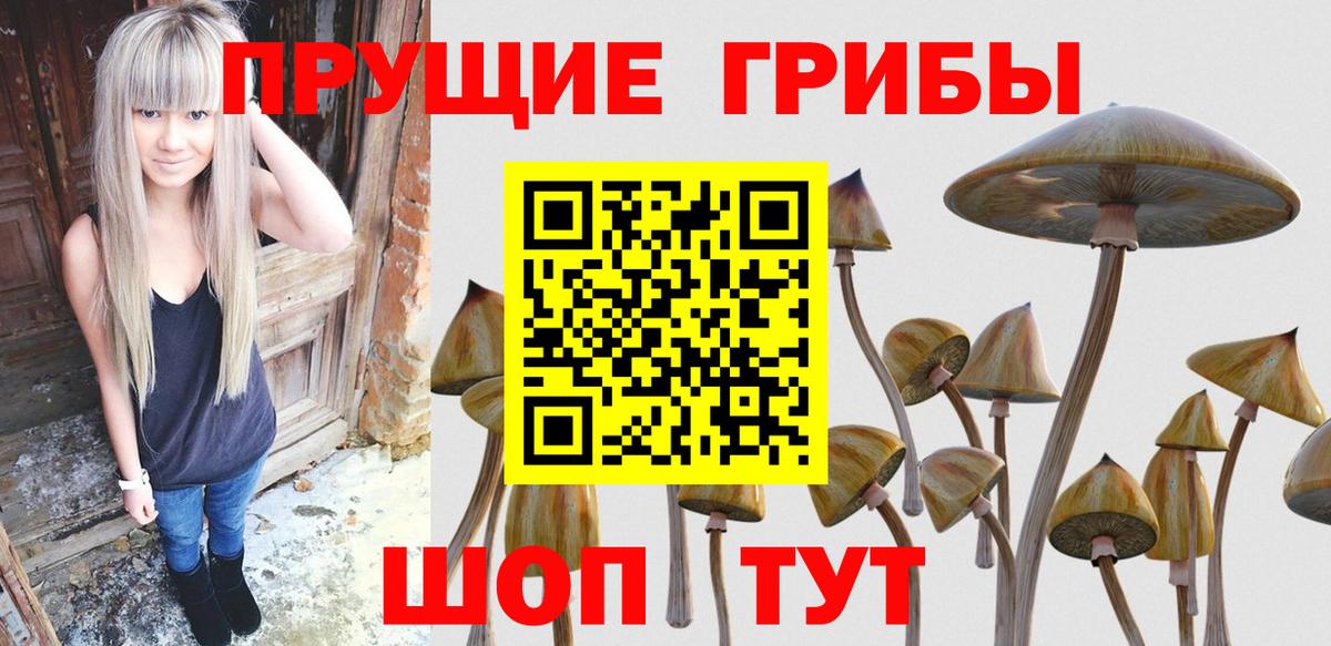 Галлюциногенные грибы Psilocybine cubensis  Вход с VPN  Псилоцибиновые грибы MAGIC MUSHROOMS  Сегежа 